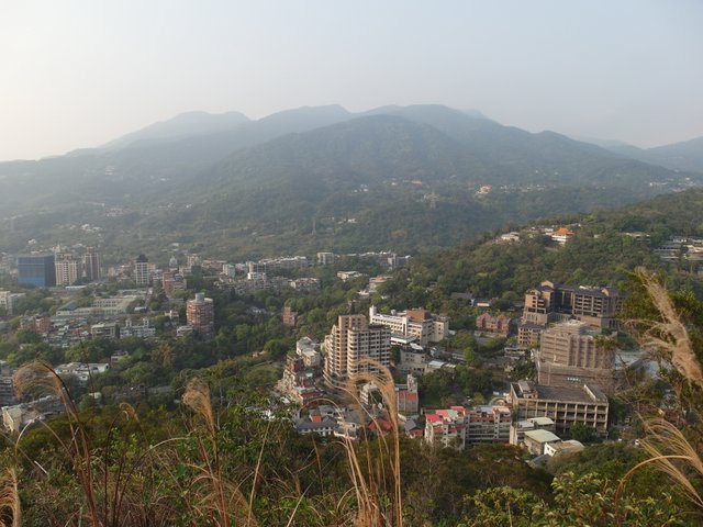 熱海岩場 (82).jpg