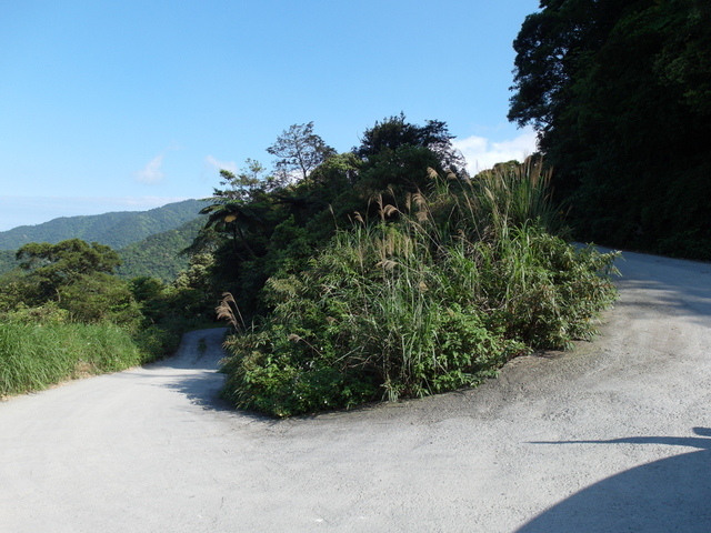 太白山礦場產業道路 (3).JPG