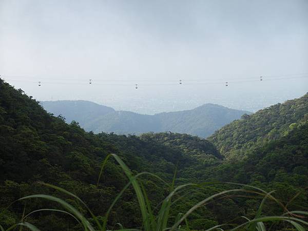 太白山礦場產業道路 (28).JPG