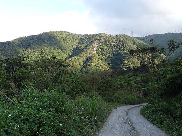 太白山礦場產業道路 (42).JPG