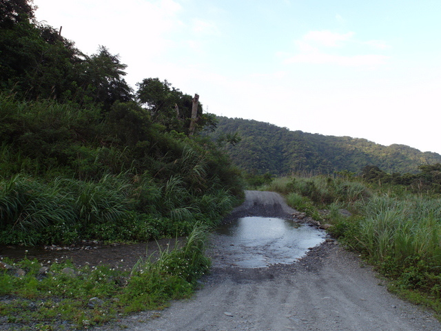 太白山礦場產業道路 (46).JPG