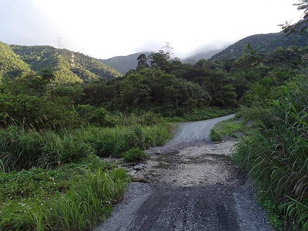 太白山礦場產業道路 (47).JPG