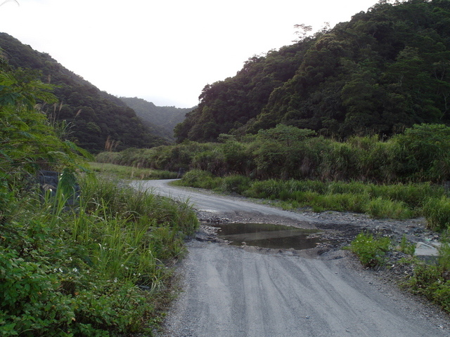 太白山礦場產業道路 (49).JPG