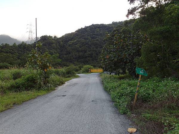 太白山礦場產業道路 (52).JPG