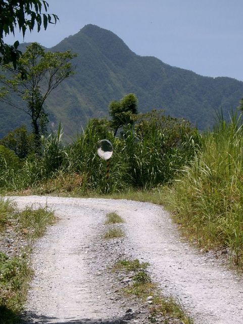 太白山礦場產業道路 (67).JPG