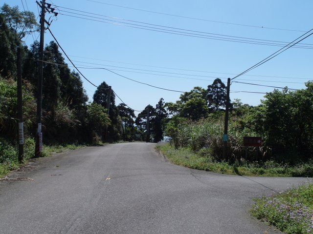 鴻子山 (8).JPG