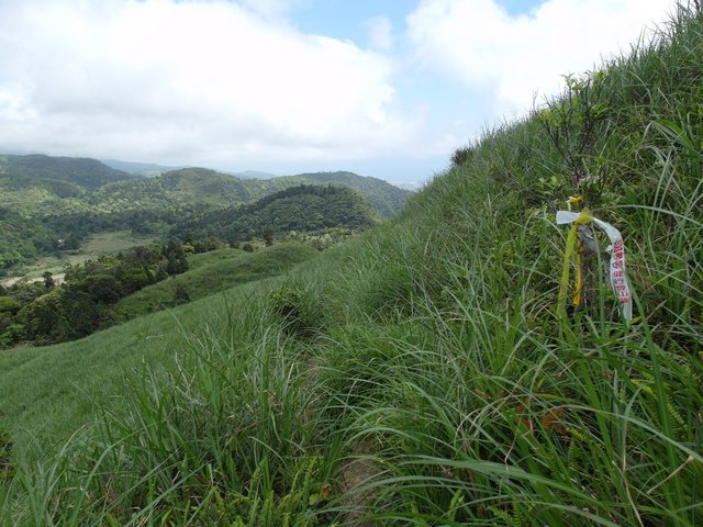 鴻子山 (83).JPG