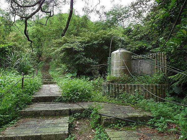 耳空龜山 (4).JPG