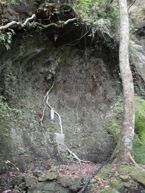 孝子山、慈母峰、菩提山 (7).JPG