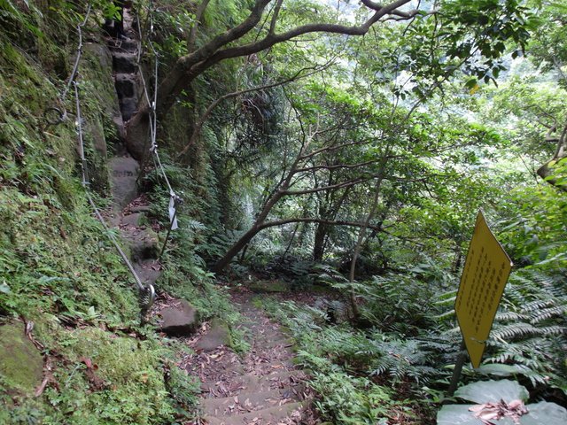 孝子山、慈母峰、菩提山 (23).JPG