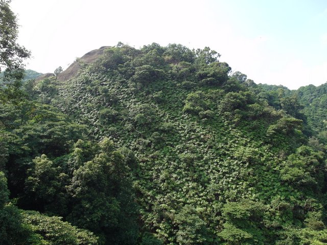 孝子山、慈母峰、菩提山 (75).JPG