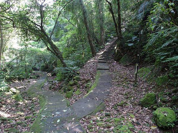 孝子山、慈母峰、菩提山 (87).JPG