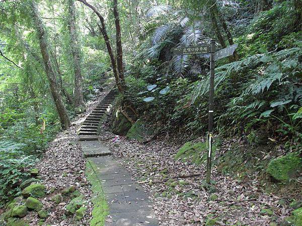 孝子山、慈母峰、菩提山 (88).JPG