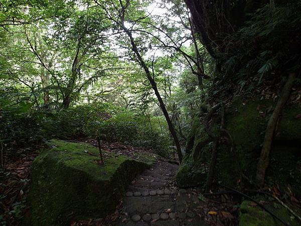 孝子山、慈母峰、菩提山 (124).JPG