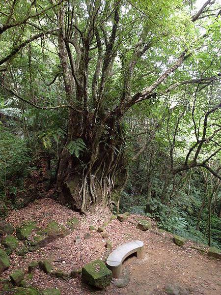 孝子山、慈母峰、菩提山 (127).JPG