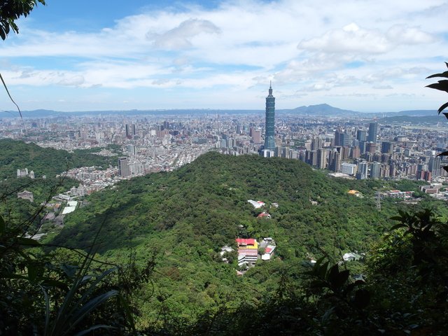 南港攀岩步道 (80).JPG