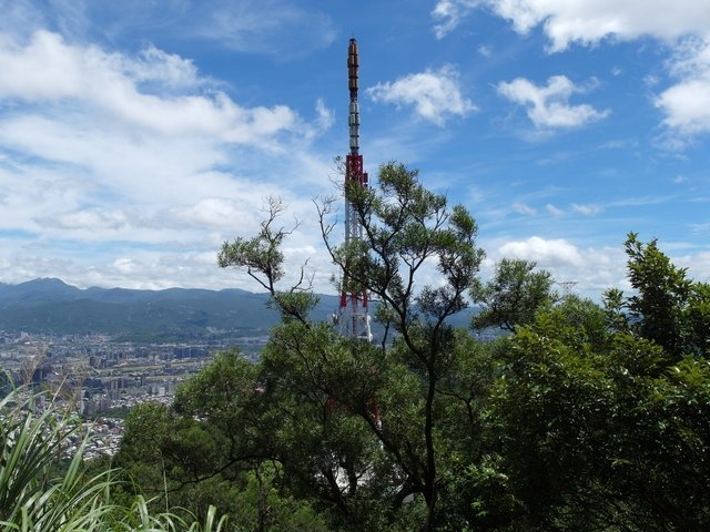 南港攀岩步道 (109).JPG