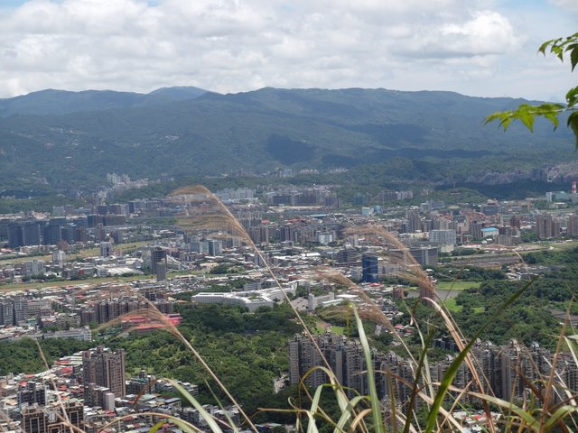 南港攀岩步道 (123).JPG