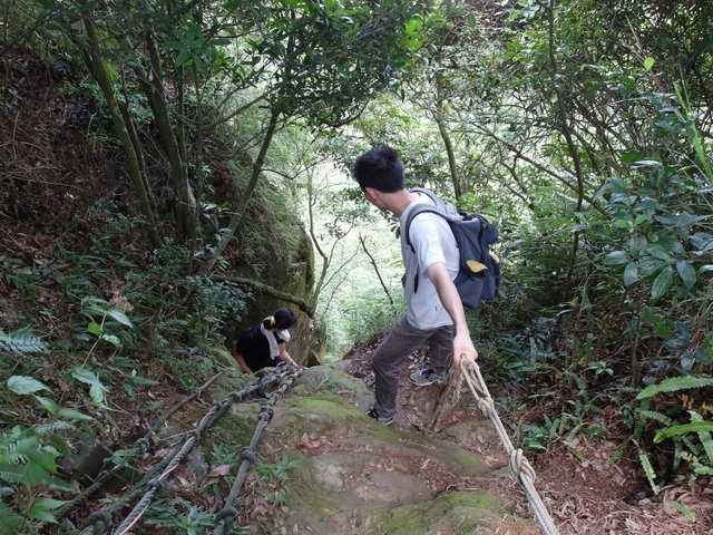 南港攀岩步道 (134).JPG