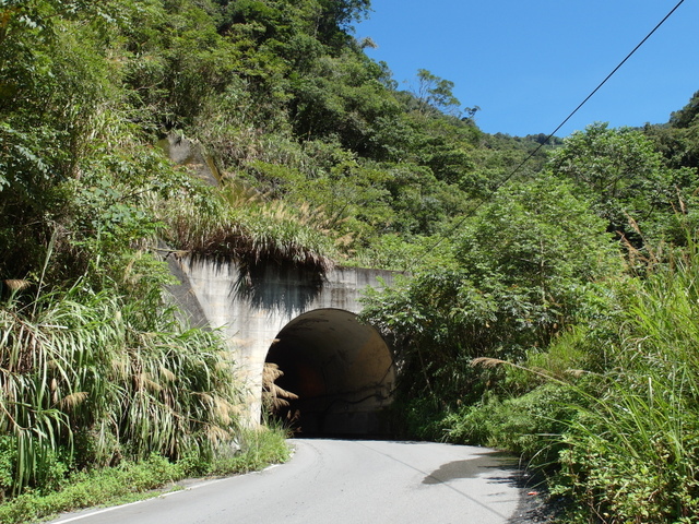 武界產業道路 (35).JPG