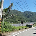 武界產業道路 (69).JPG