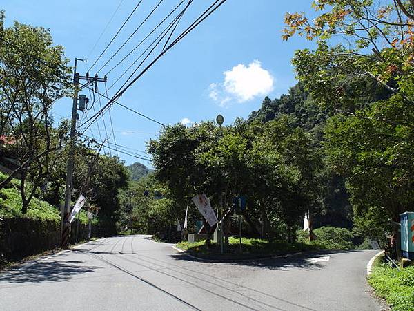 武界產業道路 (81).JPG