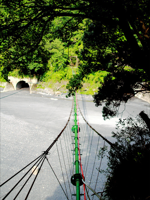 武界產業道路 (105).jpg