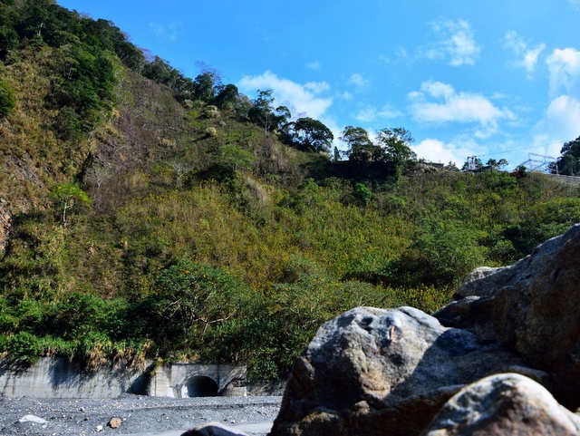 武界產業道路 (98).jpg