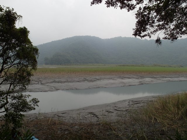 日月潭 水蛙頭步道 (8).JPG