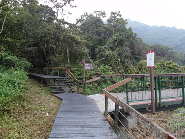 日月潭 水蛙頭步道 (18).JPG