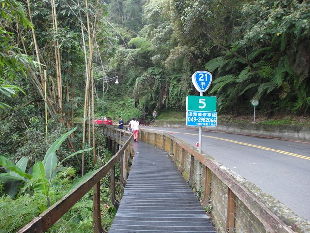 日月潭 水蛙頭步道 (21).JPG