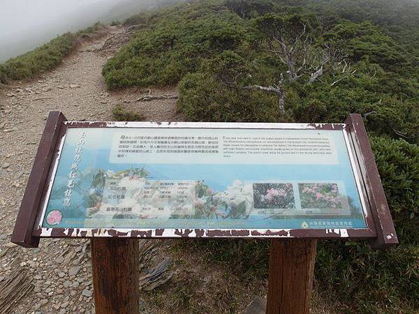 合歡東峰 (25).JPG