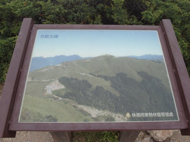 合歡東峰 (29).JPG