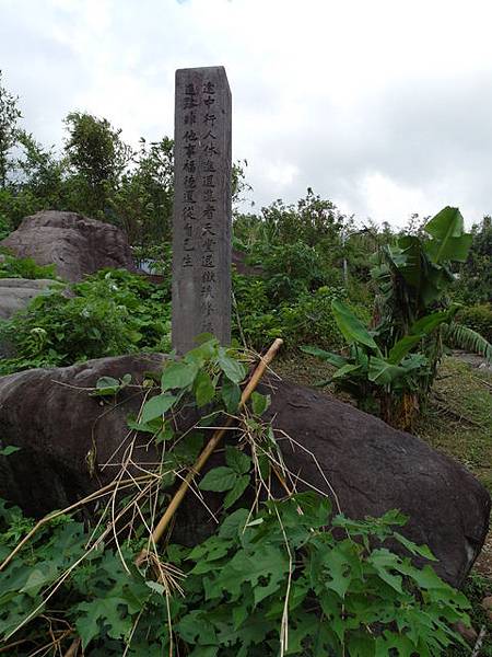 法雨寺步道 (12).JPG
