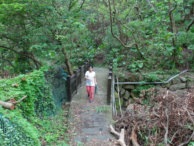 法雨寺步道 (29).JPG