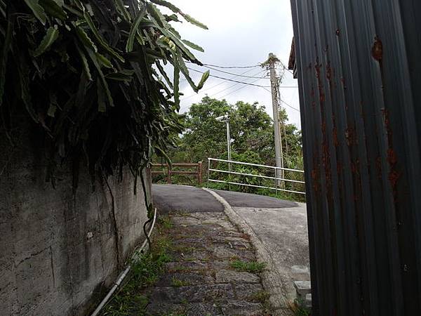法雨寺步道 (31).JPG