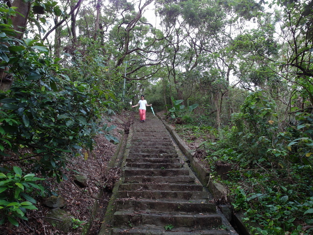 法雨寺步道 (81).JPG