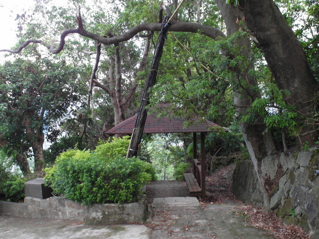 法雨寺步道 (93).JPG