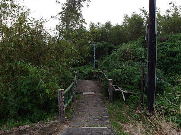 法雨寺步道 (97).JPG