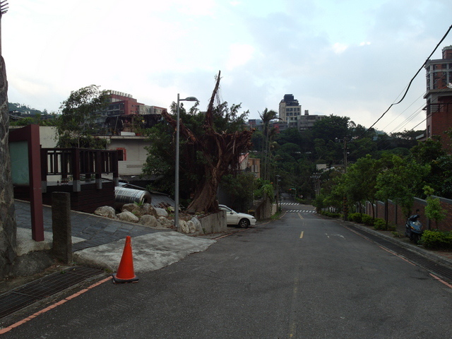 法雨寺步道 (101).JPG