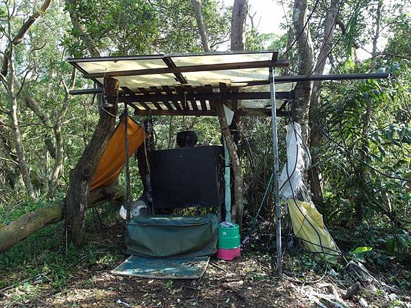 紫微聖母環山步道 (38).JPG