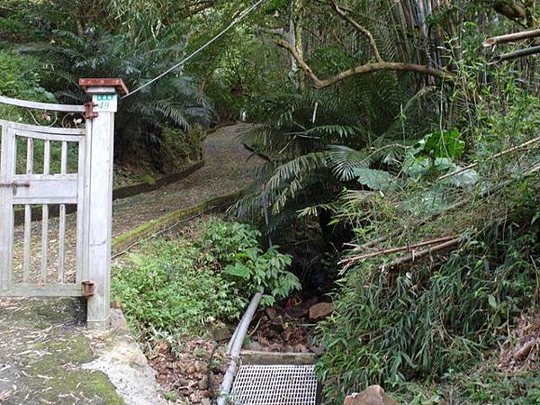 紫微聖母環山步道 (78).JPG