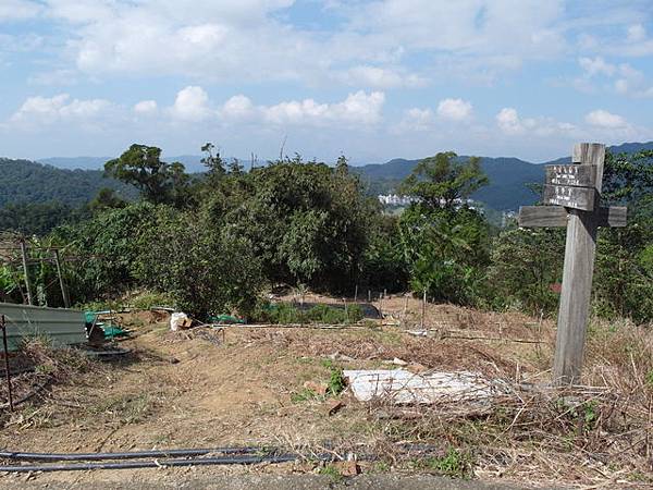 紫微聖母環山步道 (131).JPG