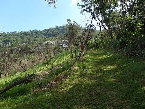 紫微聖母環山步道 (141).JPG