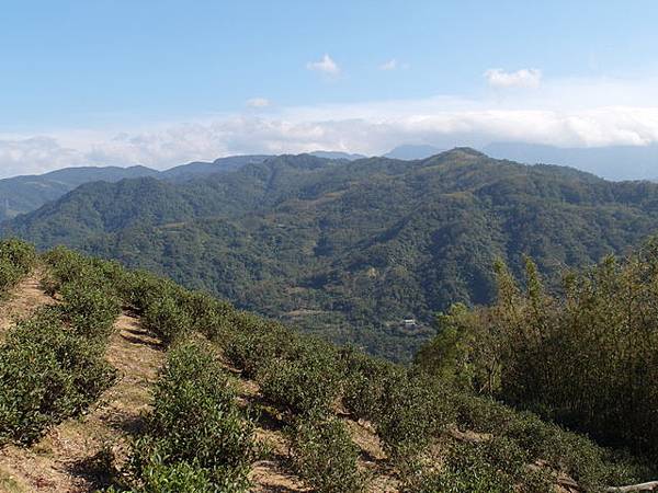 紫微聖母環山步道 (186).JPG