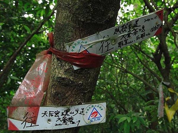 紫微聖母環山步道 (218).jpg