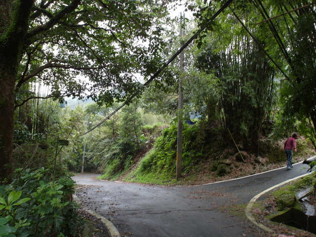 白雞山、雞罩山 (16).JPG