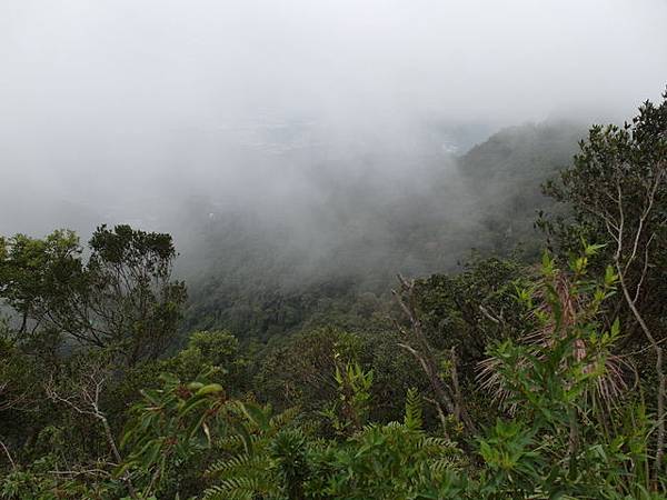 白雞山、雞罩山 (49).JPG