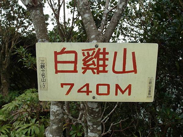 白雞山、雞罩山 (50).JPG