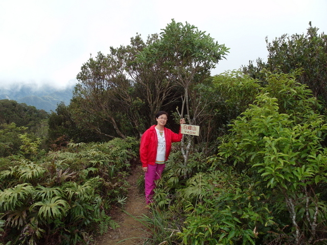 白雞山、雞罩山 (59).JPG 白雞山、雞罩山 (59).JPG